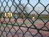 img_3567_t1.jpg