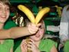 dsc00050_t1.jpg