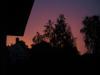 img_5572a_t1.jpg