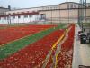dsc09823_t1.jpg