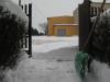img_7829_t1.jpg