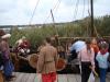 dsc09480_t1.jpg