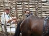 dsc09487_t1.jpg