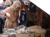 dsc09499_t1.jpg
