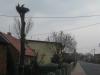 img_5502_t1.jpg