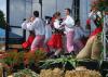 dsc09670_t1.jpg